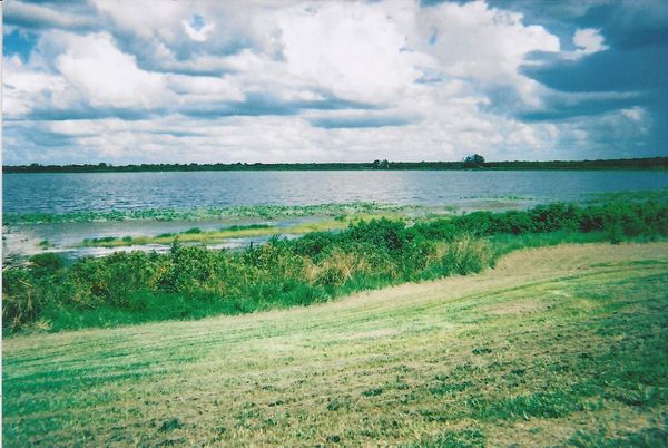 Photo of Trailer Park