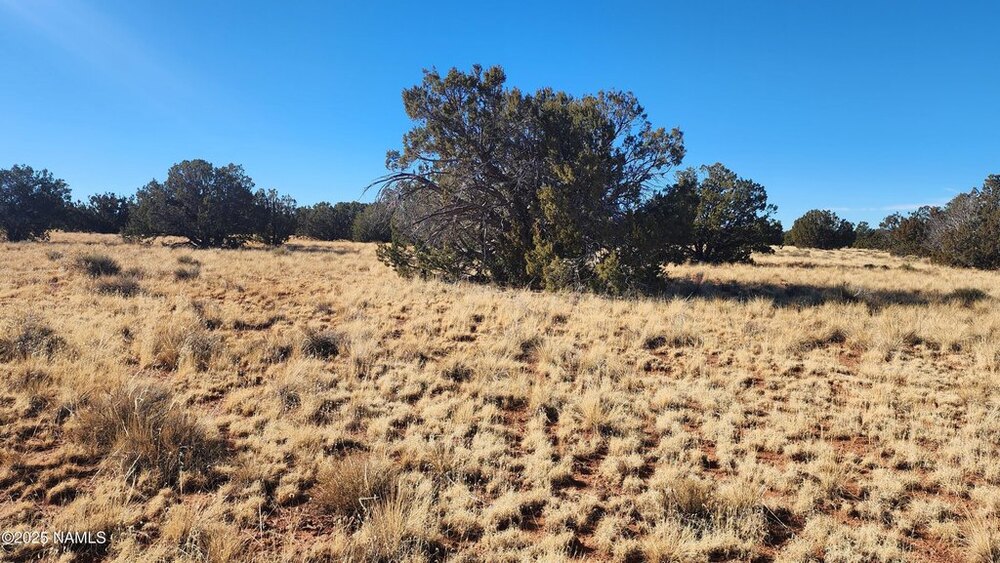 Photo of Mobile Home Lot