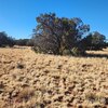 Photo of Mobile Home Lot