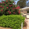 RV Lot for Rent: RiverBend Resort, Brownsville, TX