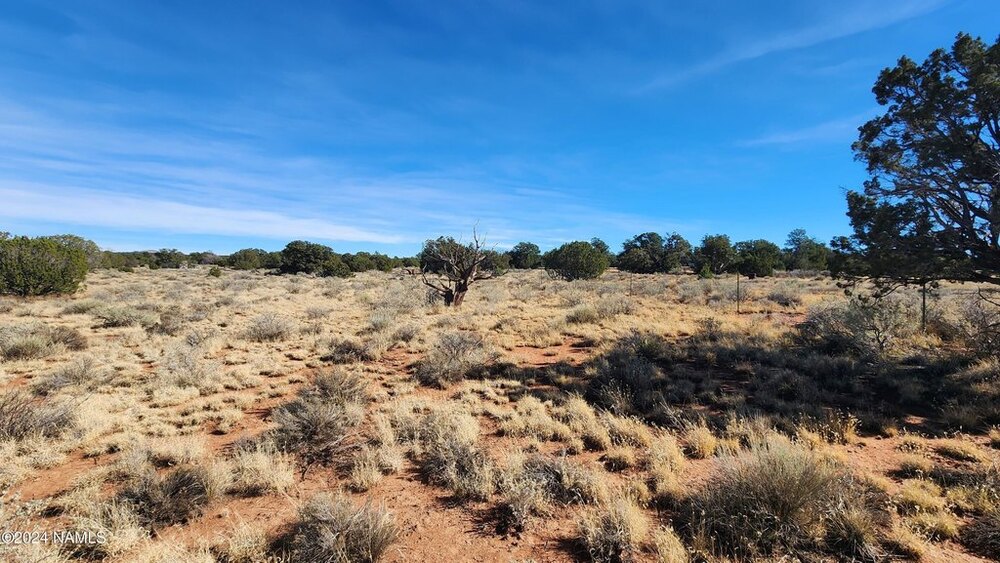 Photo of Mobile Home Lot