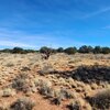 Photo of Mobile Home Lot