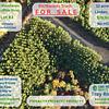 RV Lot for Sale: PRIVACY!! PRIVACY!! PRIVACY!!, Linden, TN