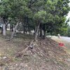 Mobile Home for Sale: Manufactured Home,Mobile Home, Mobile Home - Canyon Lake, TX, Canyon Lake, TX