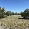 Photo of Mobile Home Lot