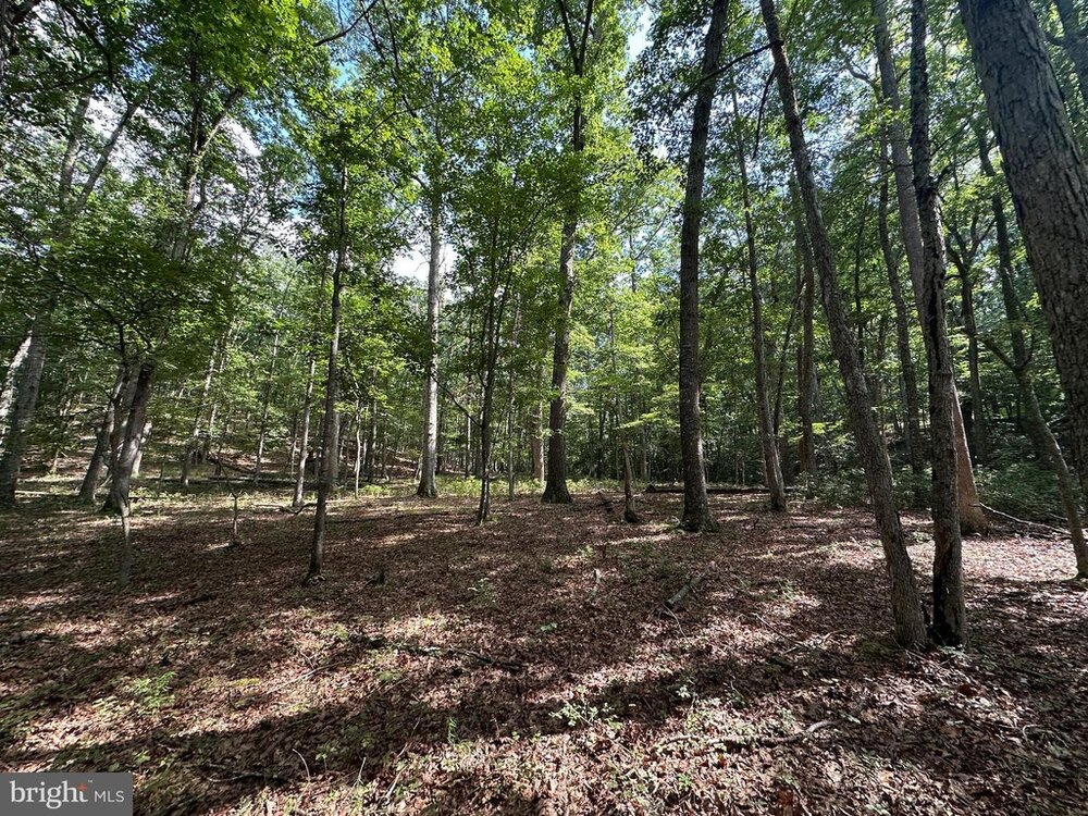 Photo of Mobile Home Lot