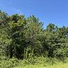 Mobile Home Lot for Sale: Lot on Shillings Bridge Rd - High-Demand Area, Orangeburg, SC