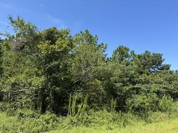 Photo of Lot on Shillings Bridge Rd - High-Demand Area