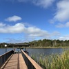 Dock to pontoon boat at Club House One