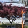 Mobile Home for Sale: Mobile Home - Bohemia, NY, Bohemia, NY