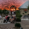 RV Lot for Sale: Desert Gardens RV Park , Florence, AZ
