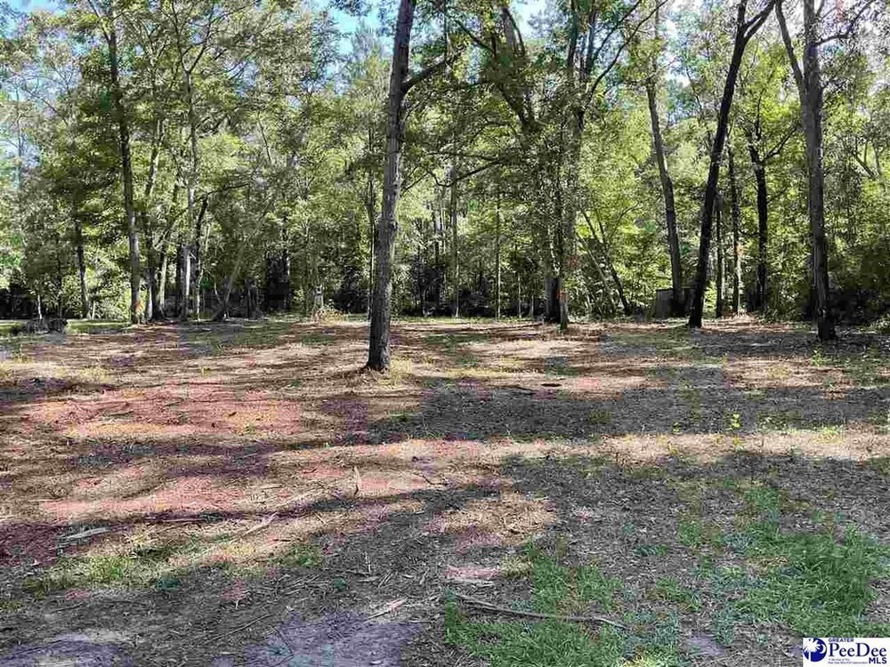 Photo of Mobile Home Lot