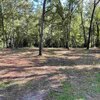 Photo of Mobile Home Lot