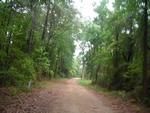Photo of Mobile Home Lot