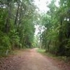 Photo of Mobile Home Lot