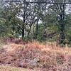 Mobile Home for Sale: 2000 Mobile Home