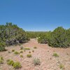Photo of Mobile Home Lot