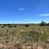 Photo of Mobile Home Lot