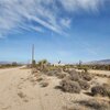 Photo of Mobile Home Lot