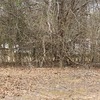 Mobile Home for Sale: 3 Bed 2 Bath 1984 Mobile Home