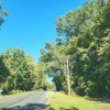 Mobile Home for Sale: 3 Bed 2 Bath 1993 Mobile Home