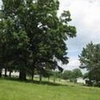 Photo of Mobile Home Lot