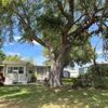 Mobile Home for Sale: 2 Bed 1 Bath 1971 Mobile Home