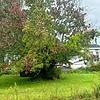 Mobile Home for Sale: 3 Bed 2 Bath 1999 Mobile Home