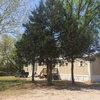 Photo of Park