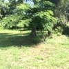 Mobile Home Lot for Sale: SC, BEAUFORT - Land for sale., Beaufort, SC