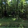 Mobile Home for Sale: Mobile Home