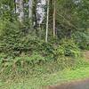Mobile Home for Rent: 2 Bed 2 Bath 2005 Mobile Home