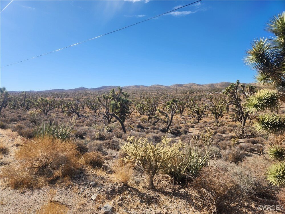 Photo of Mobile Home Lot