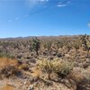 Photo of Mobile Home Lot