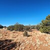 Photo of Mobile Home Lot