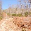 Photo of Mobile Home Lot