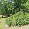 Mobile Home for Sale: 2009 Mobile Home