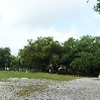 Photo of RV Lot