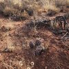 Photo of Mobile Home Lot