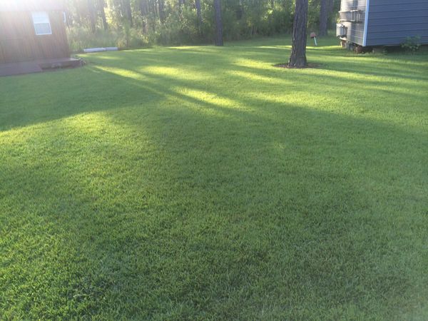 Photo of RV Lot