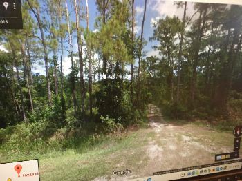 Photo of RV Lot