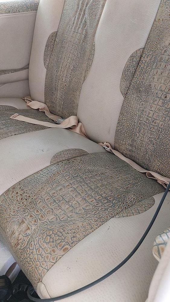 Interior_2.jpg