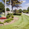 Community Image