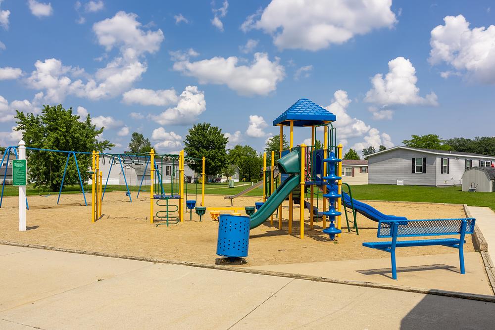 Community Image