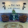 Mobile Home Park: Palms of El Mirage, El Mirage, AZ