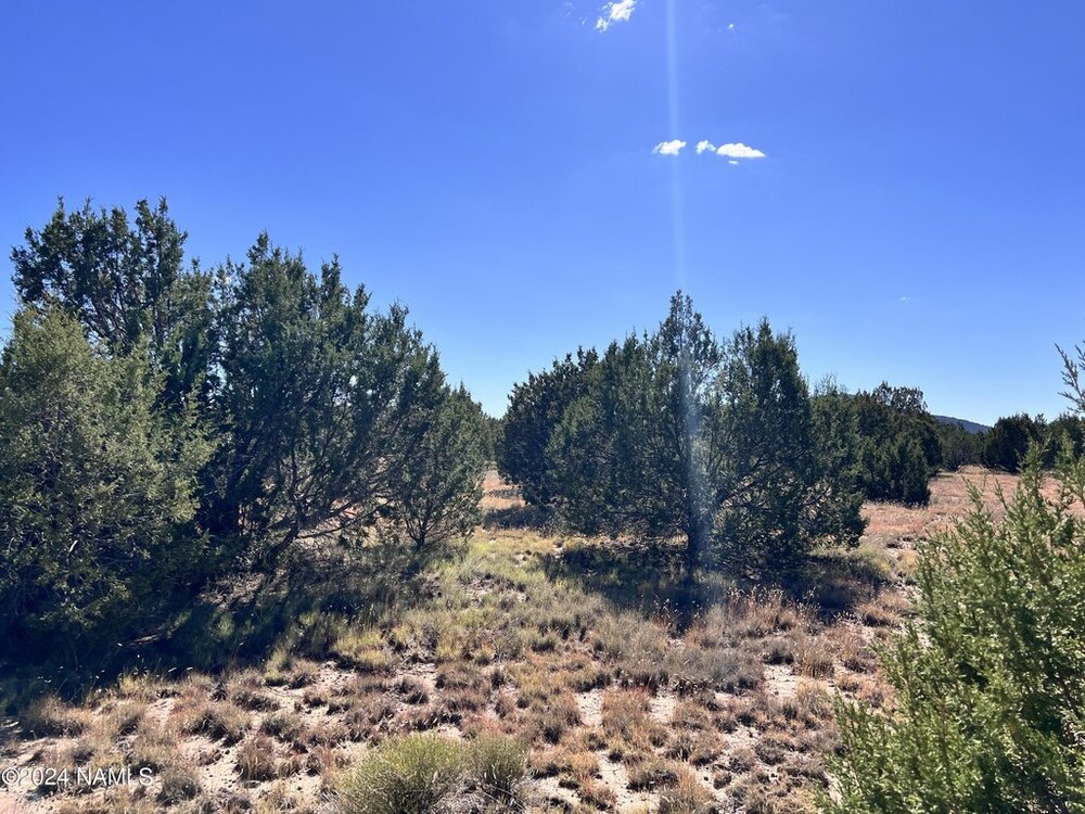 Photo of Mobile Home Lot