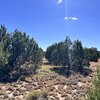 Photo of Mobile Home Lot