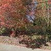 Mobile Home for Sale: Mobile Home