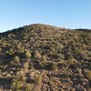 Photo of Mobile Home Lot