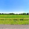 Mobile Home for Sale: 3 Bed 2 Bath 2003 Mobile Home